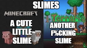 minecraft and terraria | SLIMES; A CUTE LITTLE SLIME; ANOTHER F%CKING SLIME | image tagged in minecraft and terraria | made w/ Imgflip meme maker