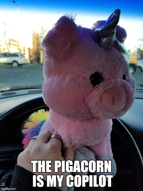 THE PIGACORN IS MY COPILOT | image tagged in that'll do pig that'll do | made w/ Imgflip meme maker
