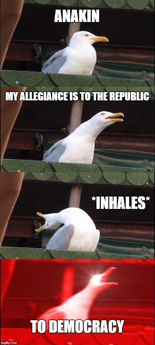 Anakin Skywalker | ANAKIN; MY ALLEGIANCE IS TO THE REPUBLIC; *INHALES*; TO DEMOCRACY | image tagged in memes,inhaling seagull | made w/ Imgflip meme maker
