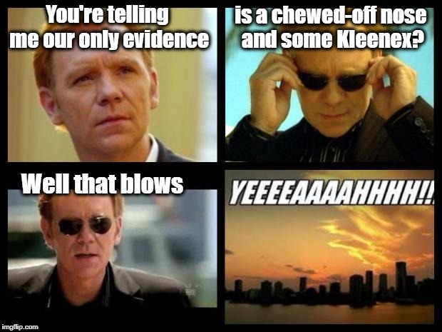 CSI |  is a chewed-off nose and some Kleenex? You're telling me our only evidence; Well that blows | image tagged in csi | made w/ Imgflip meme maker