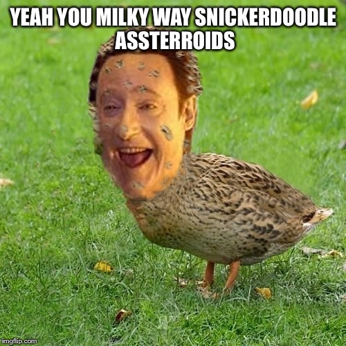 The Data Ducky | YEAH YOU MILKY WAY SNICKERDOODLE ASSTERROIDS | image tagged in the data ducky | made w/ Imgflip meme maker