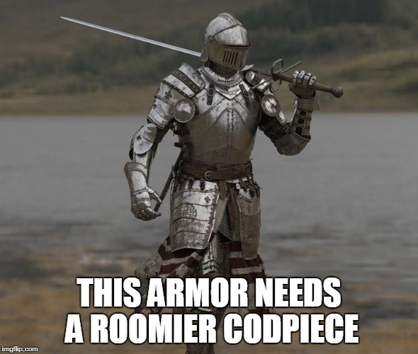 THIS ARMOR NEEDS A ROOMIER CODPIECE | made w/ Imgflip meme maker