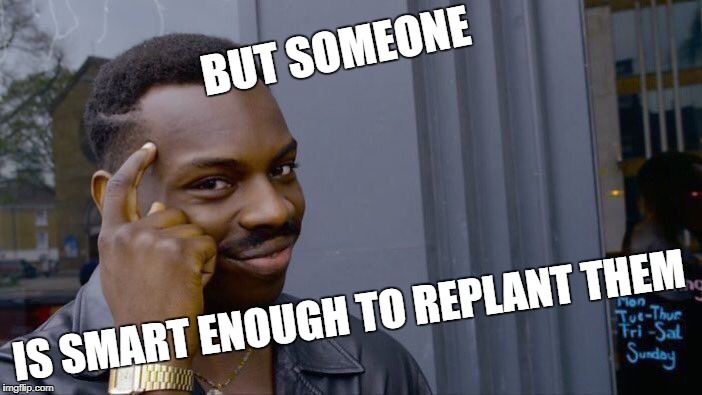 Roll Safe Think About It Meme | BUT SOMEONE IS SMART ENOUGH TO REPLANT THEM | image tagged in memes,roll safe think about it | made w/ Imgflip meme maker