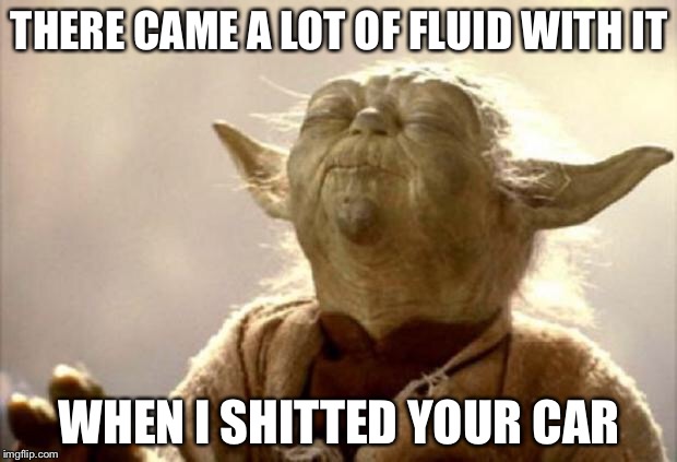 yoda smell | THERE CAME A LOT OF FLUID WITH IT; WHEN I SHITTED YOUR CAR | image tagged in yoda smell | made w/ Imgflip meme maker