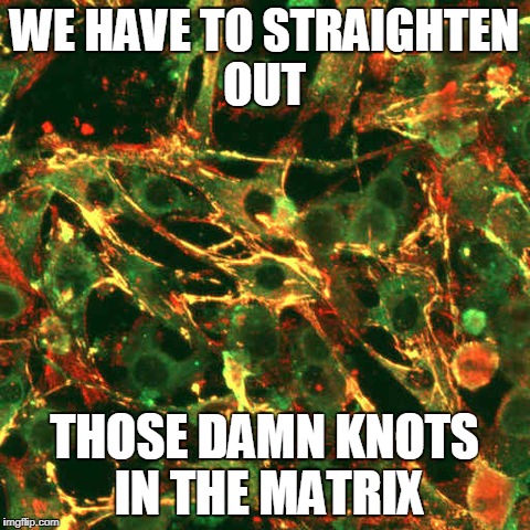 WE HAVE TO STRAIGHTEN OUT THOSE DAMN KNOTS IN THE MATRIX | made w/ Imgflip meme maker