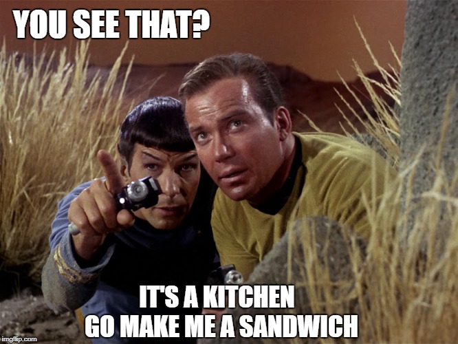 Spock and Kirk | YOU SEE THAT? IT'S A KITCHEN; GO MAKE ME A SANDWICH | image tagged in spock and kirk | made w/ Imgflip meme maker