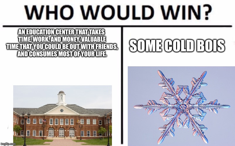 Who Would Win? | AN EDUCATION CENTER THAT TAKES TIME, WORK, AND MONEY, VALUABLE TIME THAT YOU COULD BE OUT WITH FRIENDS, AND CONSUMES MOST OF YOUR LIFE. SOME COLD BOIS | image tagged in memes,who would win | made w/ Imgflip meme maker