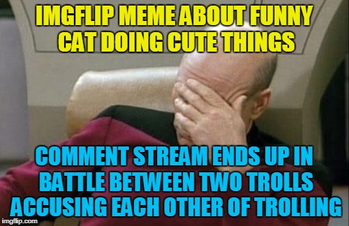 Captain Picard Facepalm Meme | IMGFLIP MEME ABOUT FUNNY CAT DOING CUTE THINGS COMMENT STREAM ENDS UP IN BATTLE BETWEEN TWO TROLLS ACCUSING EACH OTHER OF TROLLING | image tagged in memes,captain picard facepalm | made w/ Imgflip meme maker