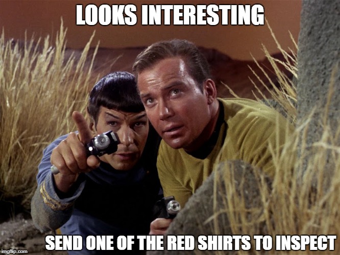 Spock and Kirk | LOOKS INTERESTING; SEND ONE OF THE RED SHIRTS TO INSPECT | image tagged in spock and kirk | made w/ Imgflip meme maker