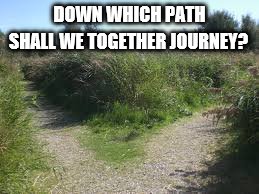 Journey together | SHALL WE TOGETHER JOURNEY? DOWN WHICH PATH | image tagged in fork in the road,together | made w/ Imgflip meme maker