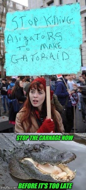 Animal rights meets gatorade | STOP THE CARNAGE NOW; BEFORE IT'S TOO LATE | image tagged in alligator,gators,peta | made w/ Imgflip meme maker