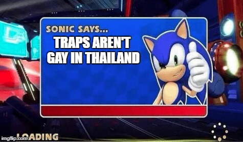 Traps arent gay | TRAPS AREN'T GAY IN THAILAND | image tagged in sonic says,traps arent gay,thailand,sonic,trap,nsfw | made w/ Imgflip meme maker