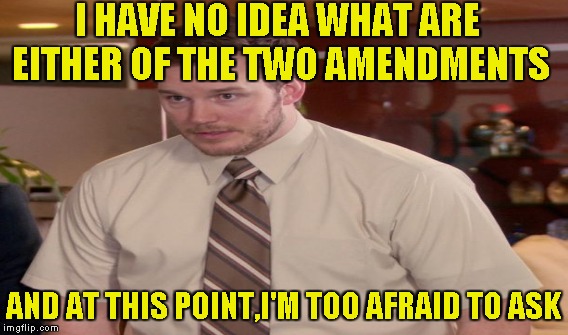 I HAVE NO IDEA WHAT ARE EITHER OF THE TWO AMENDMENTS AND AT THIS POINT,I'M TOO AFRAID TO ASK | made w/ Imgflip meme maker