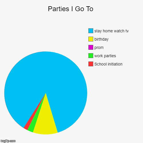 Parties I Go To | School initiation, work parties, prom, birthday, stay home watch tv | image tagged in funny,pie charts | made w/ Imgflip chart maker