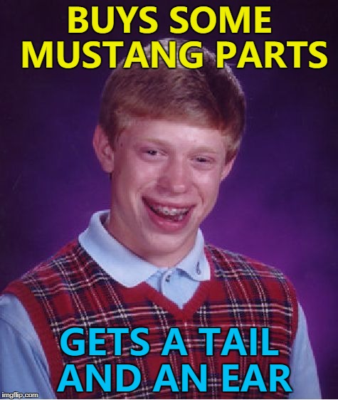 It's actually what he wanted... :) | BUYS SOME MUSTANG PARTS; GETS A TAIL AND AN EAR | image tagged in memes,bad luck brian,mustang,cars,animals | made w/ Imgflip meme maker