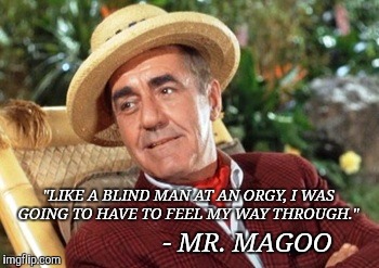 - MR. MAGOO; "LIKE A BLIND MAN AT AN ORGY, I WAS GOING TO HAVE TO FEEL MY WAY THROUGH." | image tagged in inspiring quote of the day,gilligan's island,drsarcasm | made w/ Imgflip meme maker