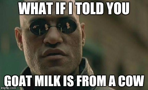 Matrix Morpheus Meme | WHAT IF I TOLD YOU; GOAT MILK IS FROM A COW | image tagged in memes,matrix morpheus | made w/ Imgflip meme maker