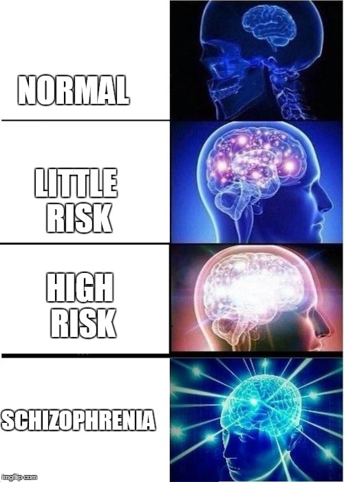 Expanding brain meme | NORMAL; LITTLE RISK; HIGH RISK; SCHIZOPHRENIA | image tagged in expanding brain meme | made w/ Imgflip meme maker