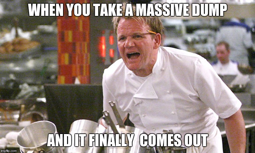 gordan ramsey yells #1 | WHEN YOU TAKE A MASSIVE DUMP; AND IT FINALLY  COMES OUT | image tagged in gordan ramsey yells 1 | made w/ Imgflip meme maker