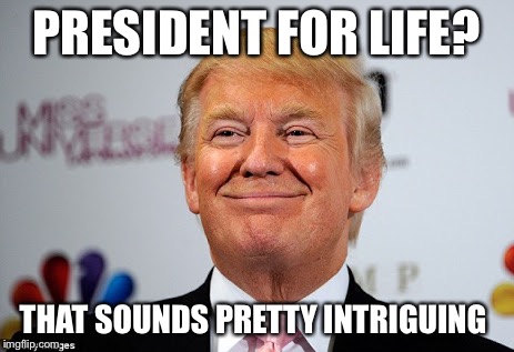 Donald trump approves | PRESIDENT FOR LIFE? THAT SOUNDS PRETTY INTRIGUING | image tagged in donald trump approves,memes | made w/ Imgflip meme maker