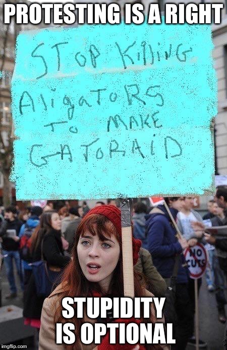 But it tastes like chicken! | PROTESTING IS A RIGHT; STUPIDITY IS OPTIONAL | image tagged in liberal protest,gatorade,alligator,stupid people,memes | made w/ Imgflip meme maker