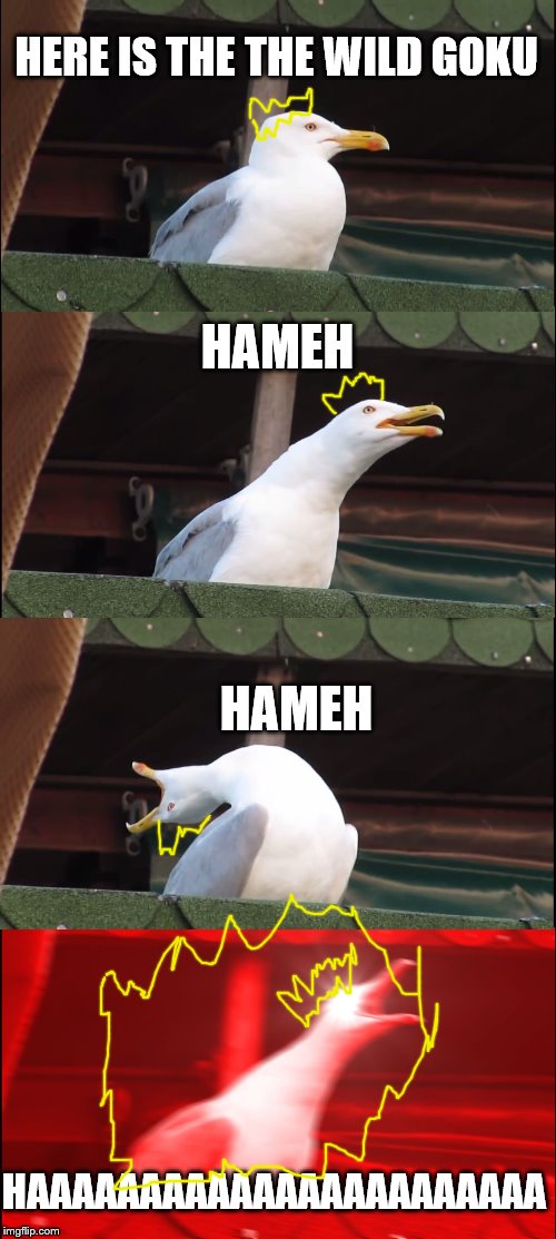 Inhaling Seagull Meme | HERE IS THE THE WILD GOKU; HAMEH; HAMEH; HAAAAAAAAAAAAAAAAAAAAAAA | image tagged in memes,inhaling seagull | made w/ Imgflip meme maker