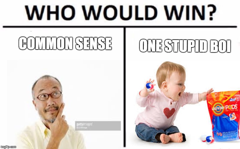 Who Would Win? Meme | COMMON SENSE; ONE STUPID BOI | image tagged in memes,who would win | made w/ Imgflip meme maker