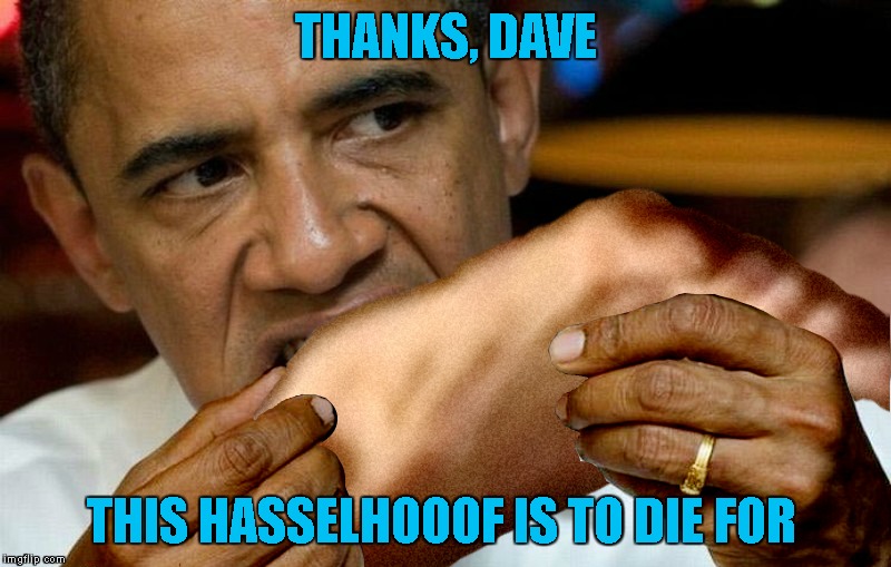 THANKS, DAVE THIS HASSELHOOOF IS TO DIE FOR | made w/ Imgflip meme maker