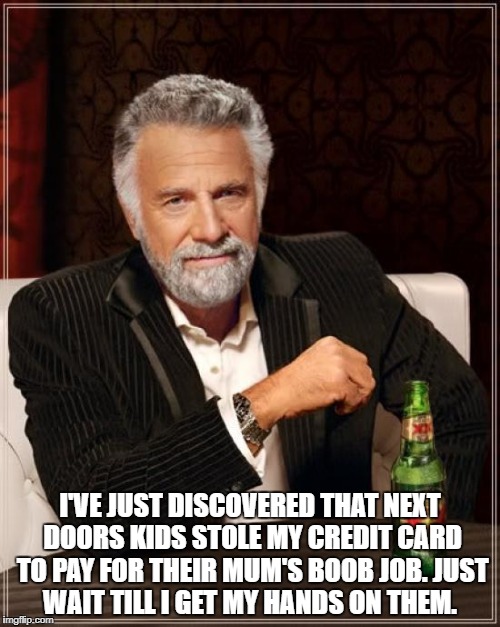 The Most Interesting Man In The World Meme | I'VE JUST DISCOVERED THAT NEXT DOORS KIDS STOLE MY CREDIT CARD TO PAY FOR THEIR MUM'S BOOB JOB.
JUST WAIT TILL I GET MY HANDS ON THEM. | image tagged in memes,the most interesting man in the world | made w/ Imgflip meme maker