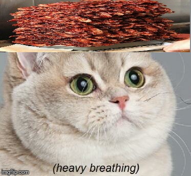   Taco cat will be like "Bacon............." | image tagged in memes,heavy breathing cat,bacon,taco cat,breakfast,i want bacon | made w/ Imgflip meme maker