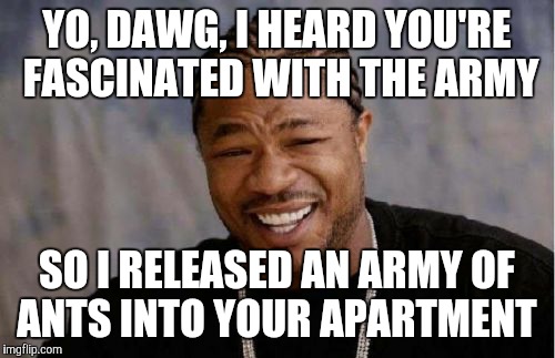 Yo Dawg Heard You Meme | YO, DAWG, I HEARD YOU'RE FASCINATED WITH THE ARMY; SO I RELEASED AN ARMY OF ANTS INTO YOUR APARTMENT | image tagged in memes,yo dawg heard you | made w/ Imgflip meme maker