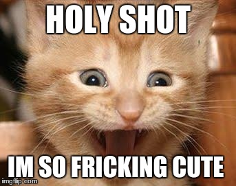 Excited Cat Meme | HOLY SHOT; IM SO FRICKING CUTE | image tagged in memes,excited cat | made w/ Imgflip meme maker