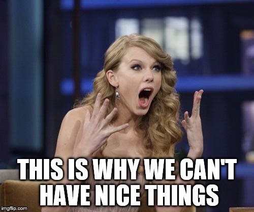 Goddammit Taylor, Look What You Made Me Do! | THIS IS WHY WE CAN'T HAVE NICE THINGS | image tagged in taylor swift,reference | made w/ Imgflip meme maker