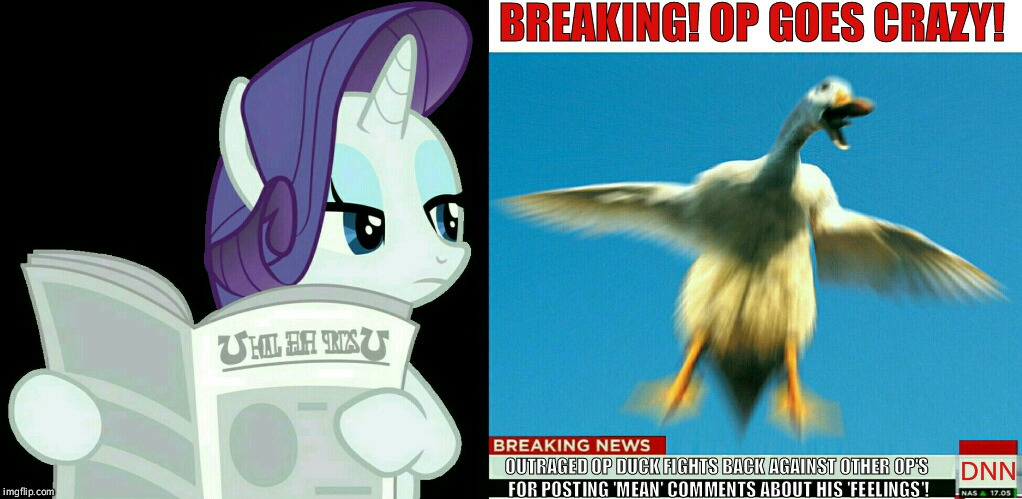Breaking news to pieces  | image tagged in mlp meme,mlp,funny,rarity,duck,internet trolls | made w/ Imgflip meme maker