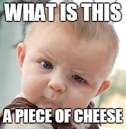 Skeptical Baby Meme | WHAT IS THIS; A PIECE OF CHEESE | image tagged in memes,skeptical baby | made w/ Imgflip meme maker