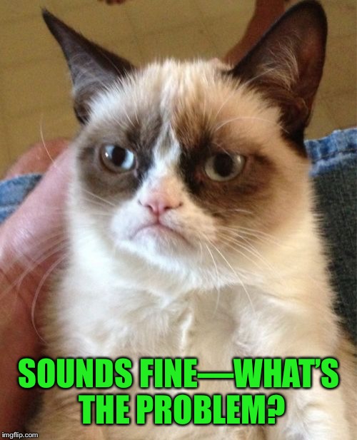 Grumpy Cat Meme | SOUNDS FINE—WHAT’S THE PROBLEM? | image tagged in memes,grumpy cat | made w/ Imgflip meme maker