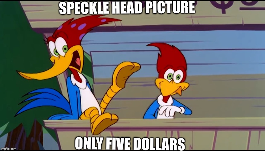 SPECKLE HEAD PICTURE; ONLY FIVE DOLLARS | made w/ Imgflip meme maker