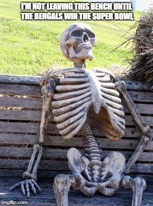 Waiting Skeleton | I'M NOT LEAVING THIS BENCH UNTIL THE BENGALS WIN THE SUPER BOWL | image tagged in memes,waiting skeleton | made w/ Imgflip meme maker
