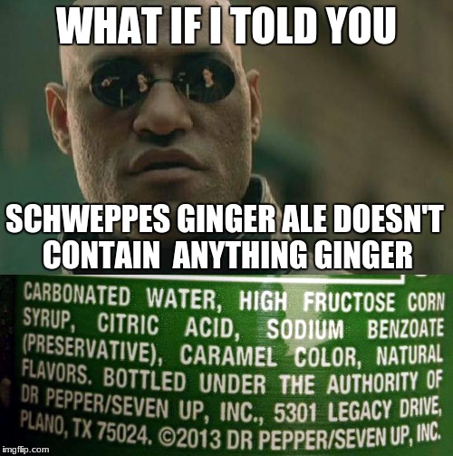 Schweppes Ginger Ale | WHAT IF I TOLD YOU; SCHWEPPES GINGER ALE DOESN'T CONTAIN  ANYTHING GINGER | image tagged in matrix morpheus,mind blown,memes,wtf | made w/ Imgflip meme maker
