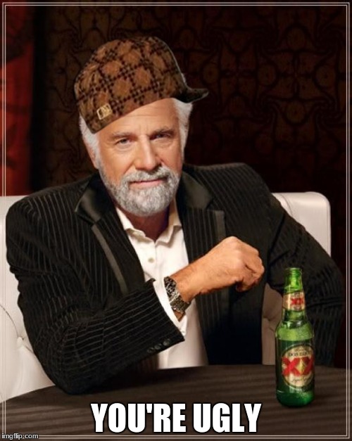 The Most Interesting Man In The World Meme | YOU'RE UGLY | image tagged in memes,the most interesting man in the world,scumbag | made w/ Imgflip meme maker