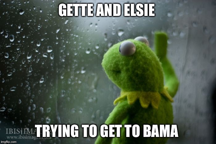 kermit window | GETTE AND ELSIE; TRYING TO GET TO BAMA | image tagged in kermit window | made w/ Imgflip meme maker