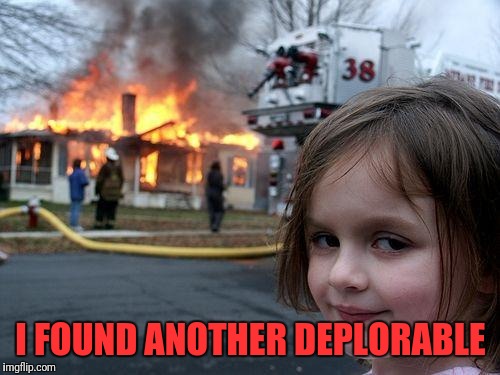 Disaster Girl Meme | I FOUND ANOTHER DEPLORABLE | image tagged in memes,disaster girl | made w/ Imgflip meme maker