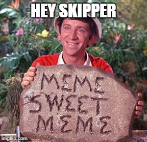 What Really Went Down on Gilligan's Island! (The Untold Story) March 5-12 A DrSarcasm Event! | HEY SKIPPER | image tagged in gilligan's island | made w/ Imgflip meme maker