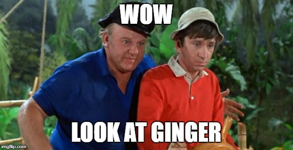 gilligan | WOW LOOK AT GINGER | image tagged in gilligan | made w/ Imgflip meme maker