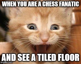 Excited Cat | WHEN YOU ARE A CHESS FANATIC; AND SEE A TILED FLOOR | image tagged in memes,excited cat | made w/ Imgflip meme maker