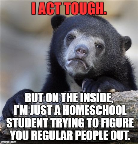 Lol, true story.  | I ACT TOUGH. BUT ON THE INSIDE, I'M JUST A HOMESCHOOL STUDENT TRYING TO FIGURE YOU REGULAR PEOPLE OUT. | image tagged in memes,confession bear,first world problems,funny,funny memes,bad luck | made w/ Imgflip meme maker