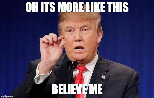 Little trump | OH ITS MORE LIKE THIS BELIEVE ME | image tagged in little trump | made w/ Imgflip meme maker