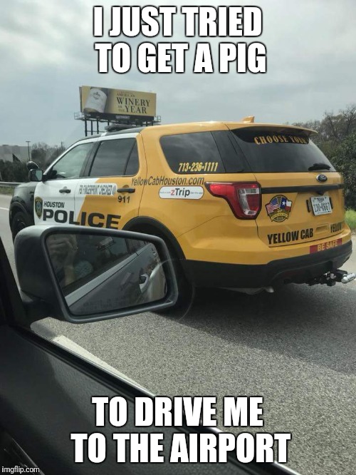 CopSlashCab | I JUST TRIED TO GET A PIG; TO DRIVE ME TO THE AIRPORT | image tagged in taxi,fake people,cops,fake pig | made w/ Imgflip meme maker