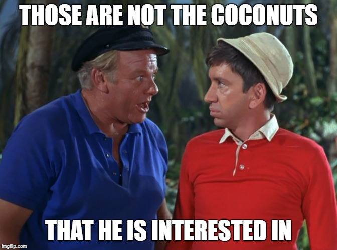 gilligan | THOSE ARE NOT THE COCONUTS THAT HE IS INTERESTED IN | image tagged in gilligan | made w/ Imgflip meme maker