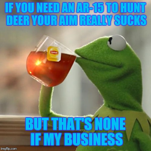 Sane kinda goes for self defense purposes... | IF YOU NEED AN AR-15 TO HUNT DEER YOUR AIM REALLY SUCKS; BUT THAT'S NONE IF MY BUSINESS | image tagged in memes,but thats none of my business,kermit the frog | made w/ Imgflip meme maker